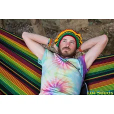 Часть вторая: курим марихуану эффективно!