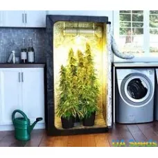 Как вырастить марихуану зимой? Советы по выращиванию для новичков