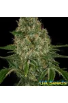Auto Gagarin Haze Auto Gagarin Haze