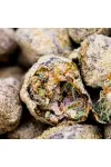 Auto Moon Rock Feminised