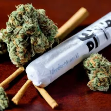 Как правильно курить бошки через сигу: подробное руководство