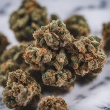 Как курить шишки конопли: подробное руководство