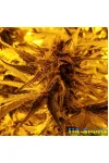Mk Ultra by BullySeeds