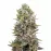 Liberty Haze