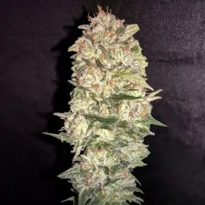 Pineapple Chunk