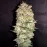 Pineapple Chunk