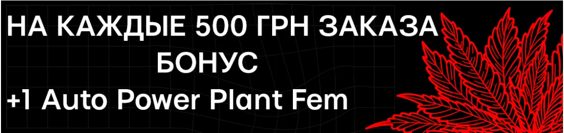 +1 семка от 500 грн.